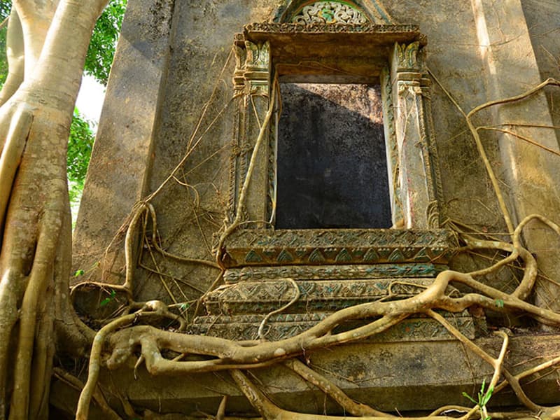 ต้นไทรใหญ่รอบอุโบสถ