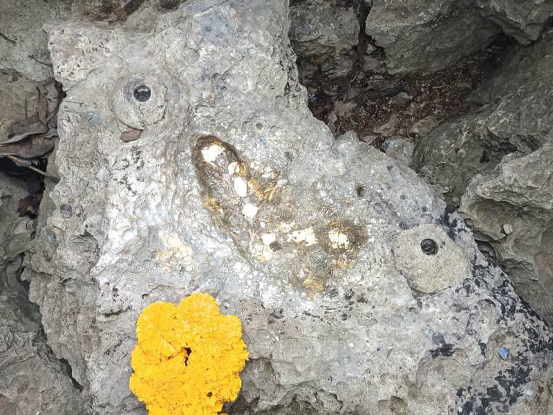 รอยพระพุทธบาทจำลอง วัดท่าขนุน